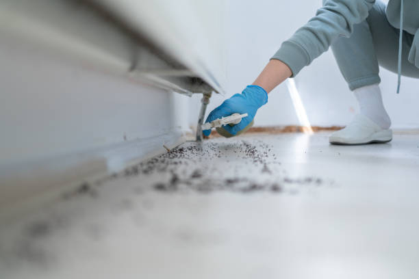 Pest Control Cost in Iowa Falls, IA